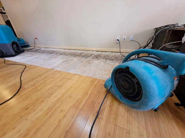 Professional Flood Damage Cleanup technician working in Rainier, OR
